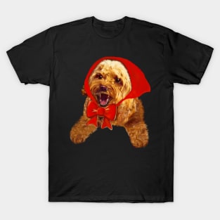 Little red riding Cava- Cute Cavapoo Cavoodle puppy dog with red hood  - cavalier king charles spaniel poodle, puppy love T-Shirt